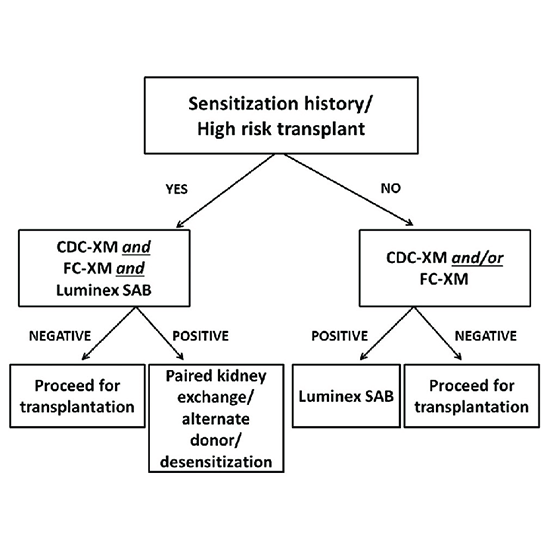 HLA Pre-Transplant Workup Panel 4